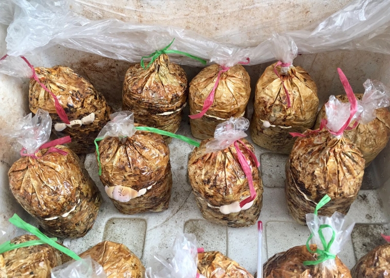 微信图片_20190511090409