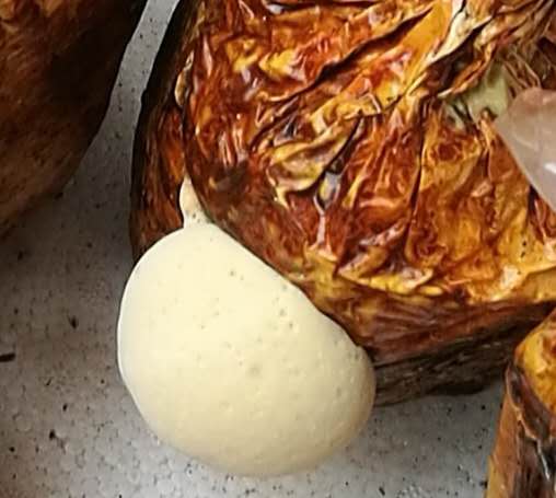 微信图片_20190511090428