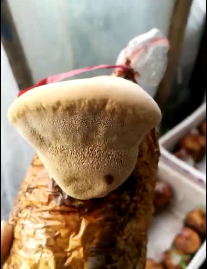 微信图片_20190511090436_看图王