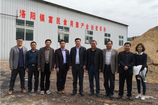 华中农业大学教授边银丙深入随州香菇基地调研指导 ()