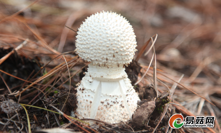 QQ截图20190513140716