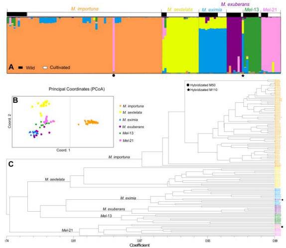 QQ截图20190513162515