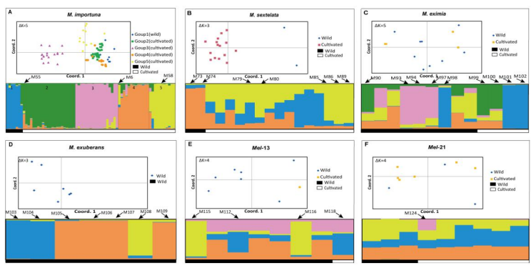 QQ截图20190513162601