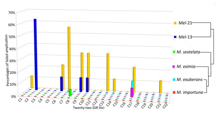 QQ截图20190513162653