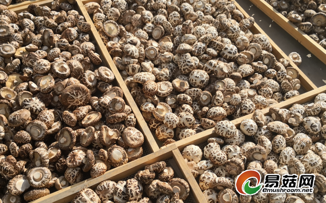 QQ截图20190515092509