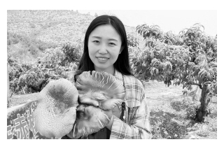 河北保定：满城区推广赤松茸种植或为火患“釜底抽薪” ()