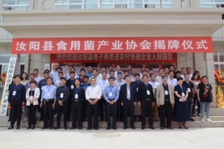 汝阳县Manbetx体育手机版推荐A9版本产业协会揭牌成立 ()