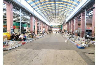 持续高温无雨 野生菌贵到“没朋友” ()