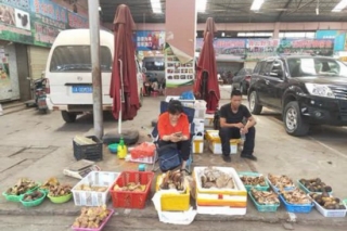 干巴菌1500元/公斤 红牛肝1000元/公斤 今年云南野生菌量少 贵到吃不起 ()