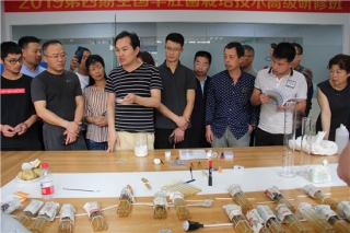 课堂教学氛围好！走近2019第四期全国ManBetX体育Manbetx体育手机版推荐A9版本高级研修班实操课 ()