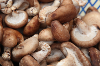 德州市Manbetx体育手机版推荐A9版本技术培训会在夏津举办 ()