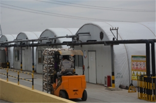 一朵淄博蘑菇的“一带一路”之旅 ()