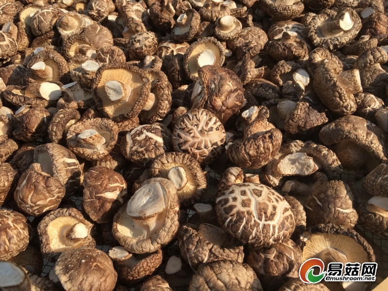 微信图片_20190318172018