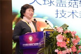 刘世玲：大球盖菇轻简化ManBetX体育 (5)