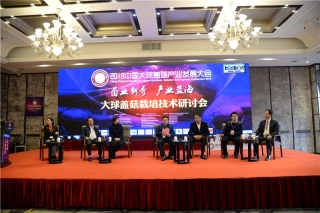 大球盖菇产业发展高峰论坛