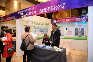 A2：湖北裕山菌业有限公司 (3)