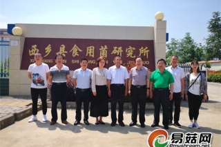 中国Manbetx体育手机版推荐A9版本协会副会长何方明一行莅临西乡县Manbetx体育手机版推荐A9版本研究所调研 ()