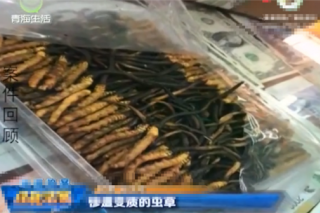 快递公司将空运改成陆运 9万元的虫草变质 维权问题惹纠纷 ()