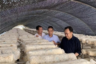 何方明副会长一行赴陕西省汉中市调研Manbetx体育手机版推荐A9版本产业发展情况 ()