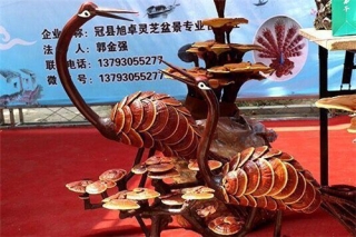 冠县第二届灵芝文化节开幕 ()