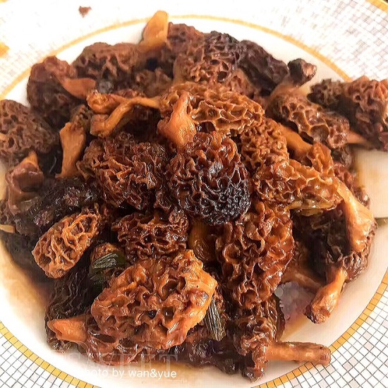 a6ffa726339a4cb59aaec85c676a1115_1280w_1280h