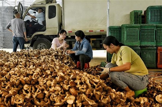 12a47df0-c016-424c-bfff-382c4078e163