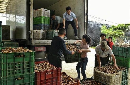 3d3bf3f1-7fcb-49a4-8f5c-b8ee62e398cc