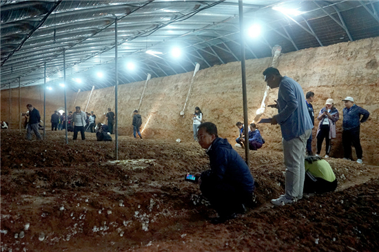 00300372489_2350a56f