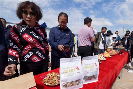 00300372494_1ebd4cf6