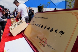 甘肃天祝Manbetx体育手机版推荐A9版本发展引关注  生态环保行采访团走访“中国高原Manbetx体育手机版推荐A9版本之乡” ()