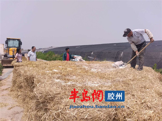 20190619165032_2YVQX56E