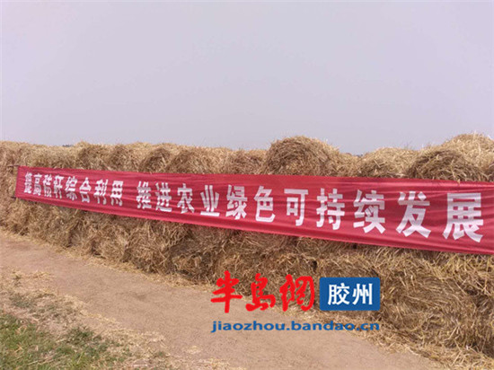 20190619165040_T29DLC44