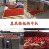 新一代枸杞烘干机价格