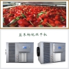 新一代枸杞烘干机多少钱