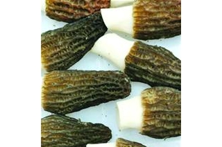 小小ManBetX体育“造血”扶贫大明星 ()