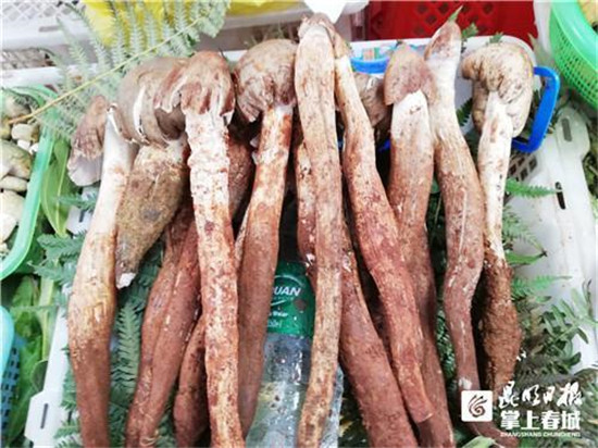 微信图片_20190626084925