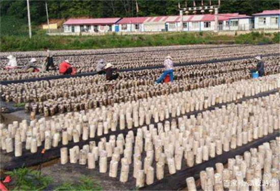 微信图片_20190626095314