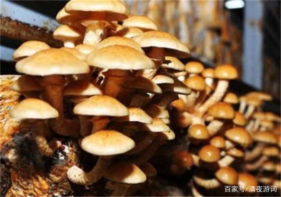 微信图片_20190626095323