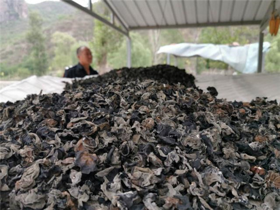 微信图片_20190627094107