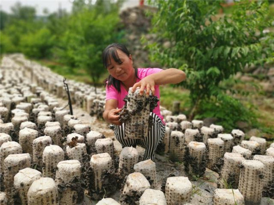 微信图片_20190627094114