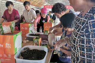 今年首推“蘑幻太空仓”  推广家庭盆栽蘑菇技术 ()