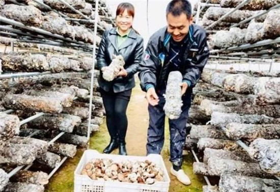 微信图片_20190628082906