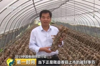 宝鸡陇县：县委书记来代言，陇县香菇再次登上央视大舞台 ()