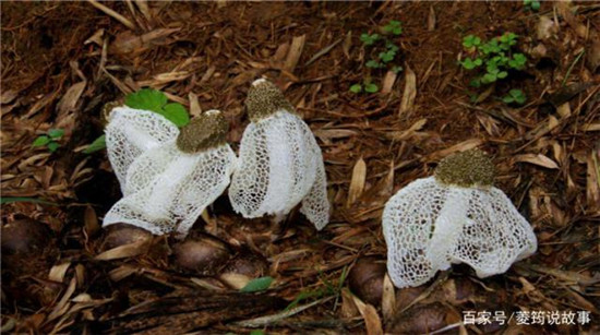 微信图片_20190628113918