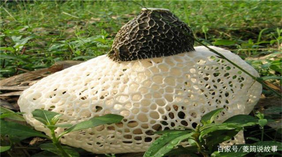 微信图片_20190628113926