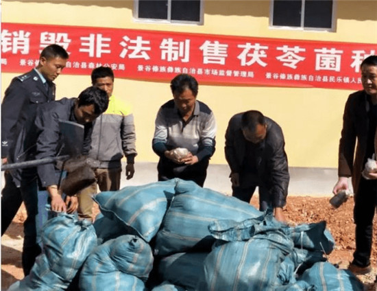 QQ图片20190628085936