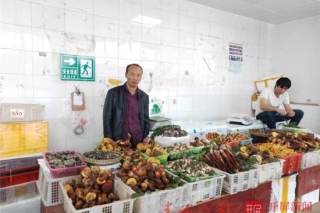 见手青价格下跌超8成！昆明野生菌自由了 ()