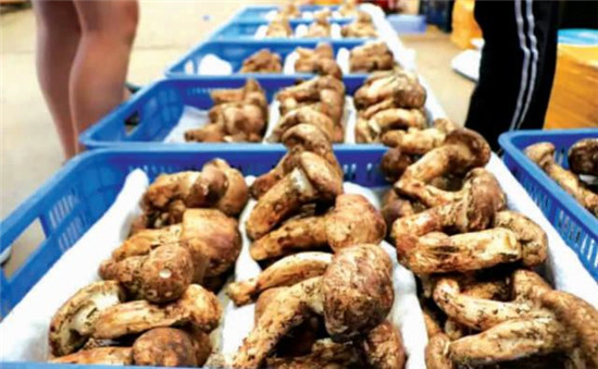 微信图片_20190704113805