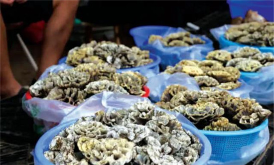 微信图片_20190704113809