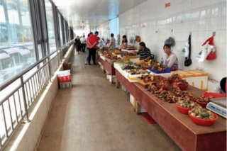 雨后野生菌大量上市 牛肝菌和青头菌价格“亲民” ()